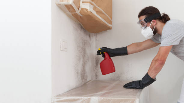 Professional Commercial Mold Remediation technician working in Sims, NC