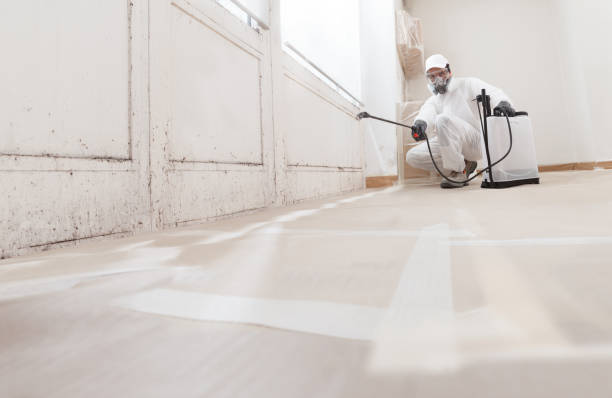 24/7 Emergency Commercial Mold Remediation experts in Sims, NC